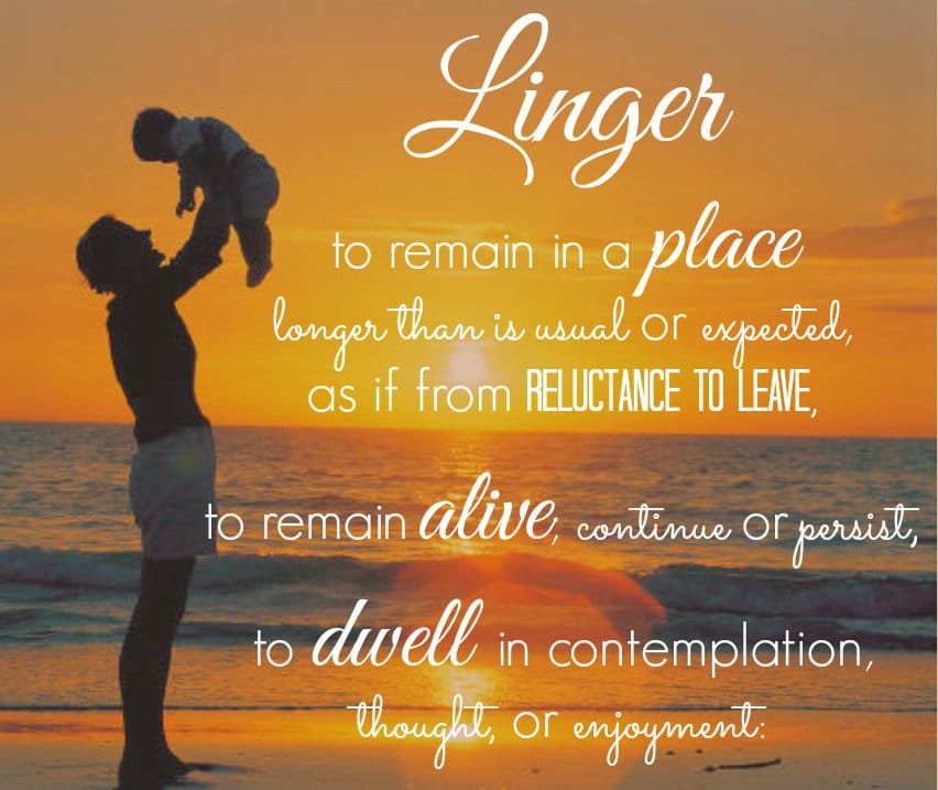 linger word of the year 2014