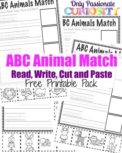 ABC animal match cut and paste pack
