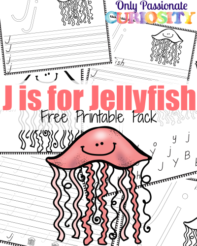 J Is For Jellyfish ABCs For Me Only Passionate Curiosity